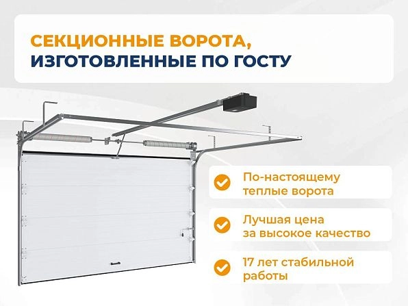 Cекционные ворота 2500х2600 мм коричнево-красные DoorHan RSD02, rostov-na-donu.doorhan.ru